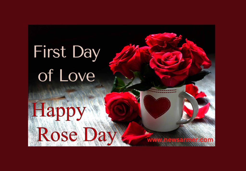 Rose Day; First Day of Love