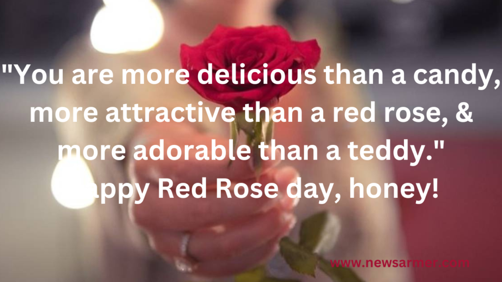 Rose Day; First Day of Love