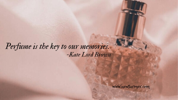 Happy Perfume Day 2023: Quotes, wishes, jokes and messages