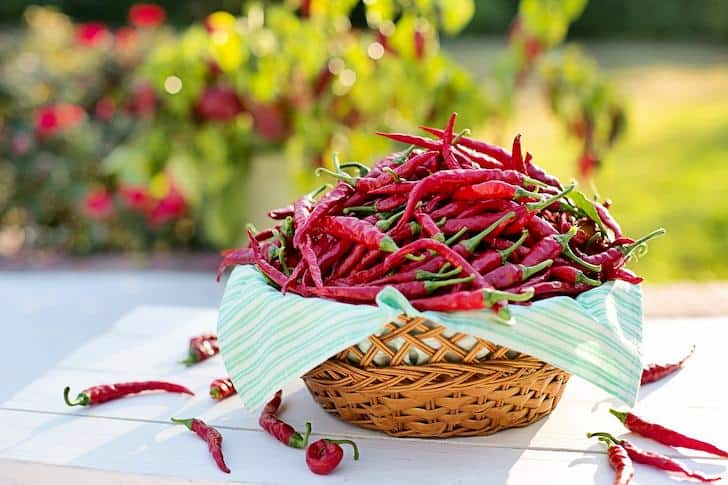 Red Chili You Need To Know About Red Chili Benefits Benefits And Side Effects
