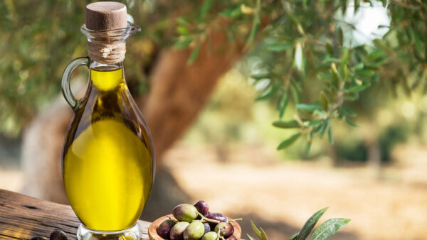 The Nutritional Powerhouse: Exploring the Health Benefits and Side Effects of Olives