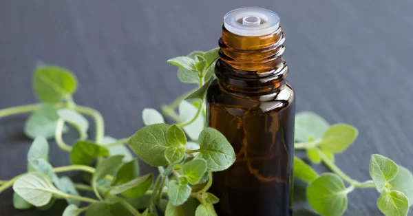 health benefits and side effects of oil of oregano